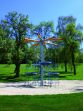 4652-10_00_Strom s ptačím hnízdem Midi.jpg