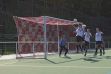 1011_01_Fotbalová branková síť PP 3,5 mm, plástvová oka, šachovnice.jpg